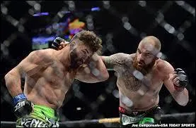 Qui remporta la rencontre opposant Andrei Arlovski à Travis Browne ?