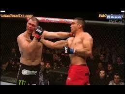 Qui remporta le combat opposant Fabricio Werdum à Cain Velasquez ?