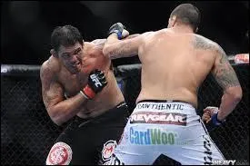 Qui remporta la rencontre opposant Brendan Schaub à Antonio Rodrigo Nogueira ?