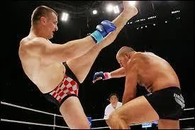 Qui remporta la rencontre opposant Mirko Cro Cop à Fedor Emelianenko