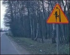 Lucienne devait faire le _________ .