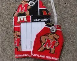 Quelle universit&eacute; am&eacute;ricaine a pour mascotte une tortue ?