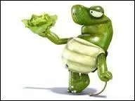 En 2006, quelle chanson est reprise par Mickael The Turtle ?