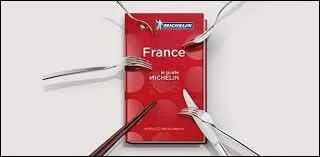 Michelin est le nom d'un célèbre guide de restaurants. C'est aussi le nom...