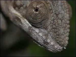 Que se passe-t-il pour qu'il y ait changement de couleurs ?