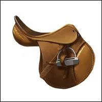 Pour acheter des selles pour mon centre équestre, je vais :