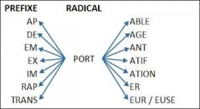 Il n'a jamais rien compris aux préfixes et aux _________ !