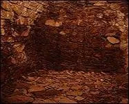 Ce fut un trou aux bords maçonnés situé dans la cave.