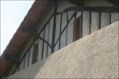 Ce sont des fentes dans les enduits.