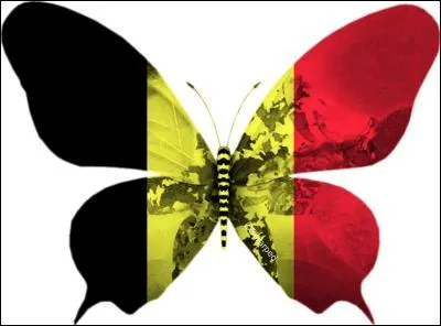 Le pays dont il est question a trois langues officielles. Quel pays est repr&eacute;sent&eacute; par ce drapeau ?