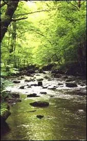 Quelle rivière arrose la ville de Limoges ?