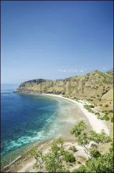 De quel pays le Timor-Oriental dépendait-il avant 2002 ?