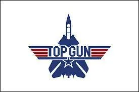 Le film « Top Gun » est à la base du succès de l'acteur Tom Cruise.