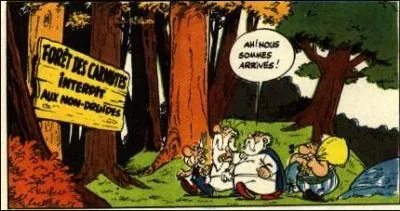 Dans quel livre se déroule la réunion des druides, dans la forêt des Carnutes, pendant laquelle le druide est enlevé ?