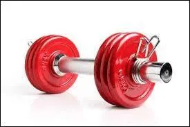 Quel est le poids de la tour de Pise ?