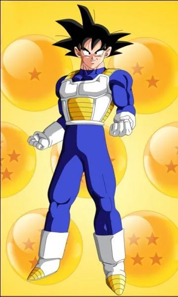 Qui a donné cette tenue à Goku ?