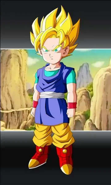 Qui est Goku Jr ?