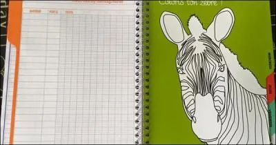 Est-ce le verbe colorier ou colorir ?