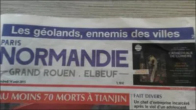 Bonne orthographe pour ces oiseaux des mers ou pas.