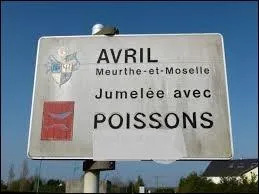 Ceci n'est pas une farce... La commune meurthe-et-mosellane d'Avril est jumelée avec celle de Poissons. Où est située cette dernière ?