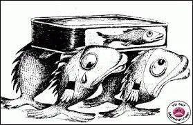 Là encore, voici un autre nom de poisson ayant une autre signification. En effet, un homonyme de sardine correspond à :