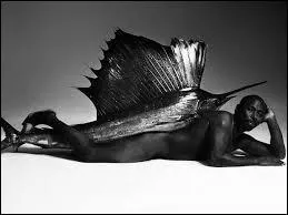 Lors de quel jour du mois d'avril a-t-on de grandes chances de se retrouver avec un poisson collé au dos ?