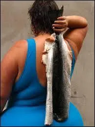 Dans le langage argotique/familier, quel nom de poisson n'est généralement pas utilisé pour désigner péjorativement une femme ?