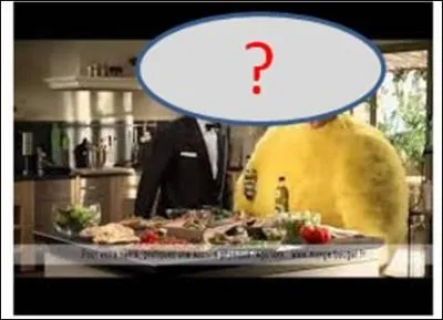 Qui a fait de la pub pour Puget ?