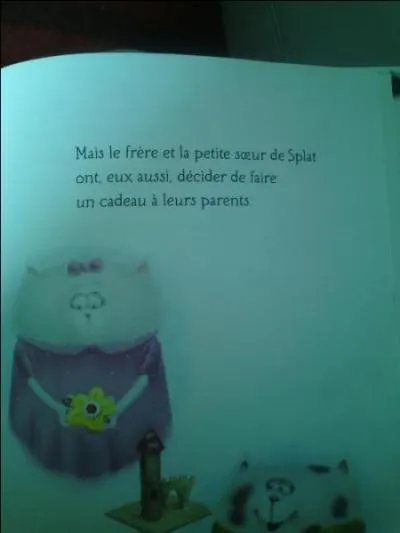 Bel exemple pour les plus petits, si on commence à leur montrer des fautes d'accord de conjugaison dès leur plus jeune âge ou pas.