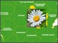 Quel nom de fleur sa sur portait-elle ?