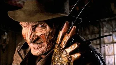 De quel chanteur s'agit-il ?