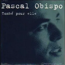 Quel monument français est cité dans la chanson " Tombé pour elle" de Pascal Obispo ?