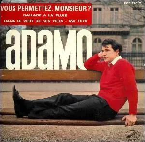 Complétez les paroles de cette chanson d'Adamo : " Vous permettez, monsieur,