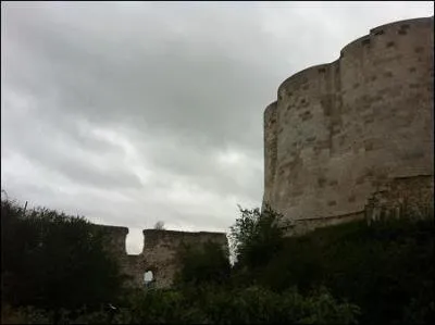 Comment mourut Marguerite de Bourgogne, femme de Louis le Hutin, mère de Jeanne II de Navarre, en 1315 ?