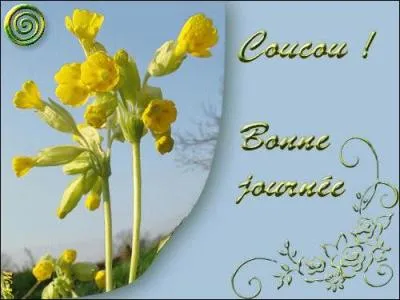 Aérien, c'est l'itinéraire que doivent suivre les avions :