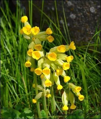 Maison de communauté religieuse :