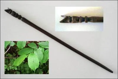 Celui qui commande, qui ordonne, tient la baguette, mais qui pratique les rituels de protection ?