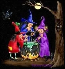 Bon, maintenant le chaudron, une sorcière sans chaudron, impossible ! Quel est son usage ?