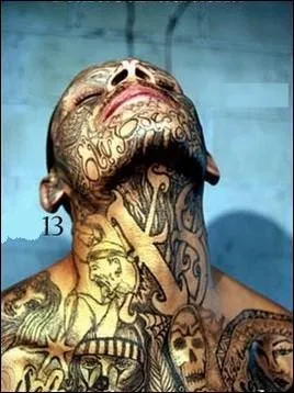 Proche du cartel mexicain, composé d'hommes d'Amérique latine, formé à Los Angeles dans les années 1980, probablement le plus dangereux de la planète, il compterait aujourd'hui 50 000 membres : quel est ce gang ?