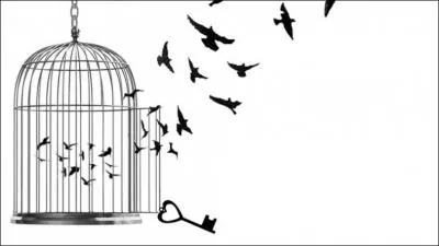 La magie est partout lorsque vous lui...