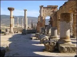 Dans quel pays est situé le site archéologique de Meknès ?