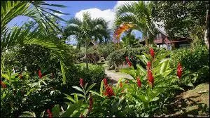 Dans quel pays est situé le site du parc national de l'île Cocos ?