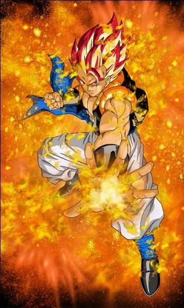 Quelle a &eacute;t&eacute; la premi&egrave;re phrase de Gogeta ?