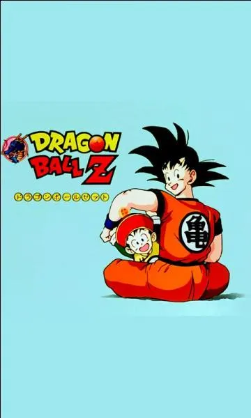 Quand il y a cette image, &ccedil;a veut dire que :