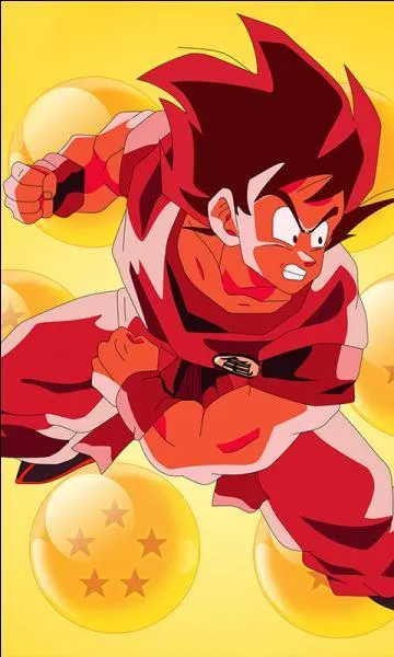 Pour r&eacute;ussir son Kame Hame Ha contre Vegeta, Goku est all&eacute; jusqu'au Kai&ocirc;ken :