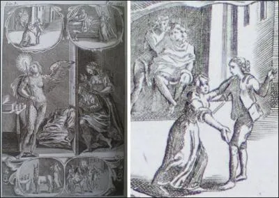 Quelle substance transforma Pamphile en hibou ?