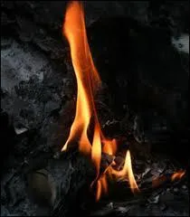 Depuis les 300 dernières années, de nombreux cas de personnes qui se sont auto-enflammées, sans qu'un combustible ou autre agent inflammable en soit à l'origine, ont été rapportés. Comment s'appelle ce phénomène ?