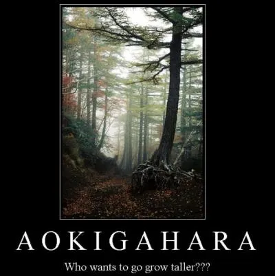 Aokigahara est une forêt de 35 km², connue pour le nombre élevé de morts retrouvés depuis les années 1950, pour la plupart dues à des suicides. Cette forêt serait hantée par des esprits errants. Dans quel pays est-elle située ?