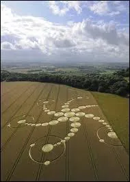 uvres de blagueurs en mal de sensations fortes, phénomènes climatiques, activité surnaturelle ou dessins d'extra-terrestres, les cercles de récoltes restent aujourd'hui bien mystérieuses. Quel film de 2002 s'en inspire ?