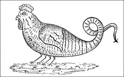 Créature légendaire décrite comme un mélange de coq et de serpent. Quel est son nom ?